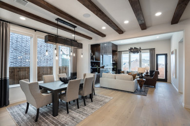 Dining room - dining room idea in Dallas