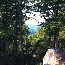 Views from Cottage