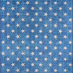 Momeni - District DIS-07 Stars Blue, 5'0"x7'6" - 21st century updates of the traditional calavera, ballerinas, foxnose and patriotic stars  of the American flag are applied to super soft polyester chenille for our collection of flat  rugs. Detailed designs and print are super-defined through our exclusive