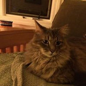 Jane Finkelstein's photo