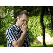 Daniel Seriy's photo