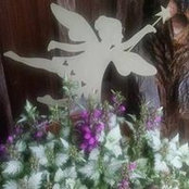 Dotty Hedley's photo