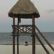Wei Chen's photo
