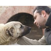 Murat Temiz's photo
