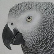 Foto von Christa van Rensburg