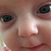 Carol Laskey's photo