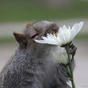 J.p. Cook's photo