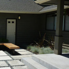 Dani's New Place