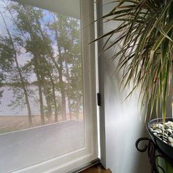 Roller Shades - Roller Shades