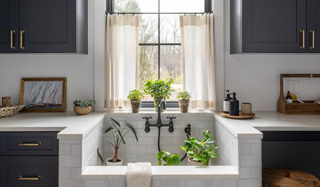 How to Grow Herbs Indoors