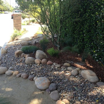 Xeriscape Design