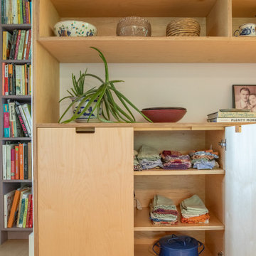Cabinet Shelf Storage
