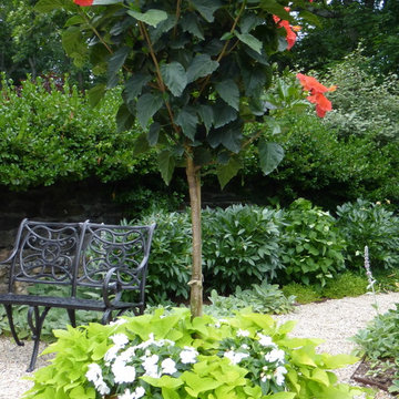 Spring and Summer Container Design
