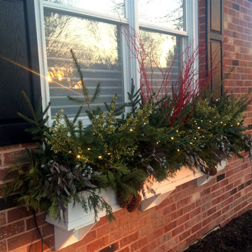 Winter Containers