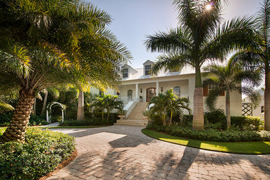 This is an example of a tropical landscaping in Other.