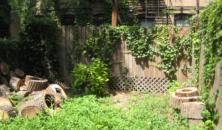 До и после: 4 маленьких сада на заднем дворе — от 24 до 75 кв.м.