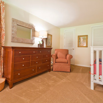 Basement Guest Suite