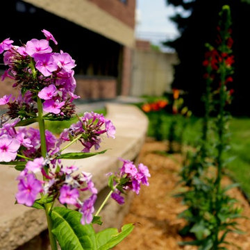 Softscape (Flowers, Flower beds and more)
