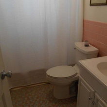 50s Bathrooms that need help