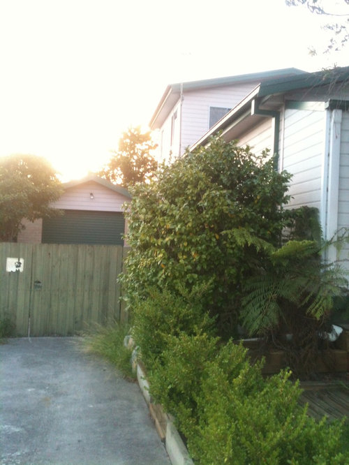 Exterior paint colours for house with green tin roof