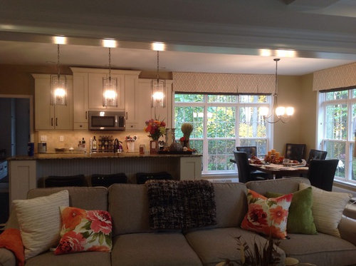 Need Help Picking Colors For A Dark shaded House