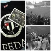 Melis Cengiz's photo