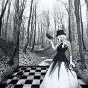 Foto von Willow Holman