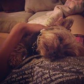 Pupae Tanitta's photo