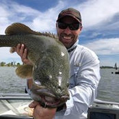 Michael Bressan's photo