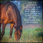 Lisa Walker's photo
