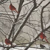 Terri Shore's photo