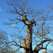 Photo de A Guåker