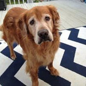 Mindy Kopp Lobacz's photo