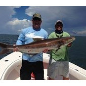 Mike Mele's photo