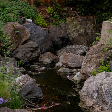 Creekside Restoration: Close-Up of Creekside with Blooming Flowers and Native Vi