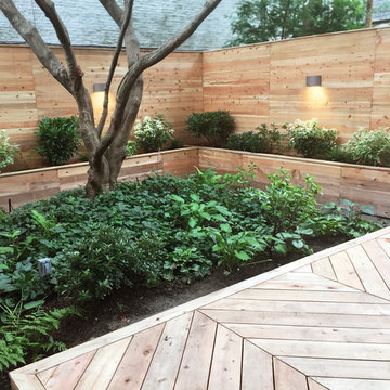 Prospect Heights Backyard