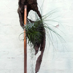 Living Sculptures - Products