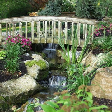 Forest Bathing Offers Great Escape (Long Island/NY):