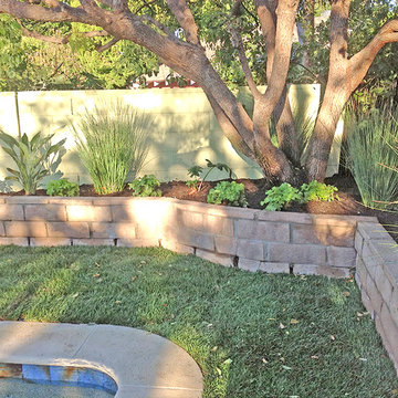 Backyard Design--Hardscape & Softscape