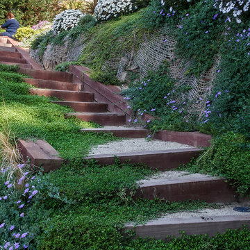Talud con la vegetación desbordante