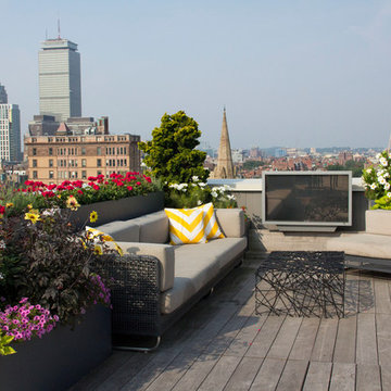 Boston Rooftop Garden