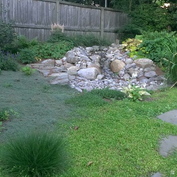 Rainwater Harvesting System & Planting