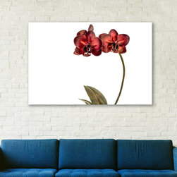 Red Copper Orchid Art Print - Photographs