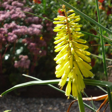 fenton roberts garden design