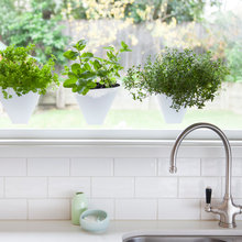 Kingman kitchen