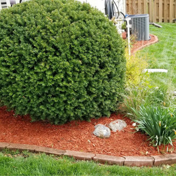 Custom Landscapes