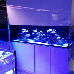 AQUARIUMS AND FISH - Products