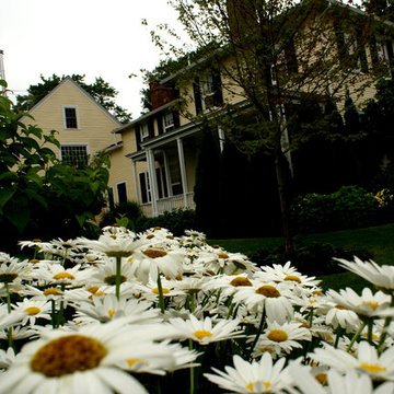 Federal home with Shasta daisies in foreground