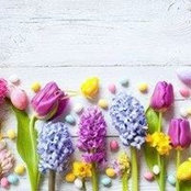 Crystal Nelson's photo