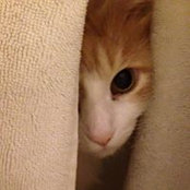 Kimberly Wright's photo